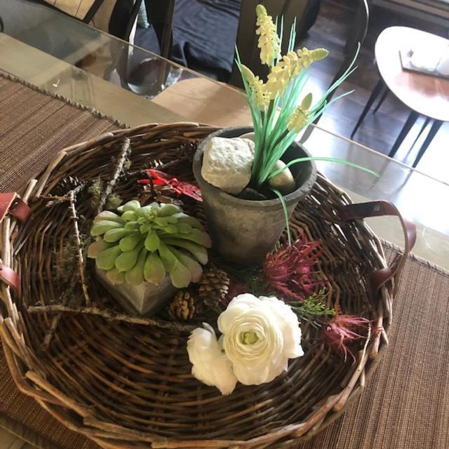 Petit Appart De Charme Eau Chaude Solaire Renovation 2021 Wifi Disponible Belvedere 5 سانت لوك المظهر الخارجي الصورة